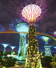 Gardens by the bay